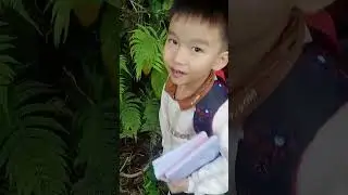 Zô tri cùng đám nhóc lóc chóc