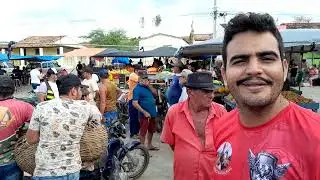 Feira de Animais do povoado dos Patos em Frei Miguelinho PE 17/01/2026.