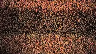 EFTD Terminal Equinox