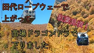 田代ロープウェーで上がって苗場ドラゴンドラで下りました🍁