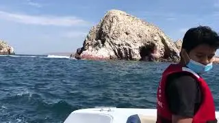 Islas ballestas 🦭😎🌞 Pisco/Ica de visita por el cumpleaños #8 de mi chinita 12/11/2021