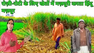 A Day in the Life of a Hindu Laborer Working in Fields