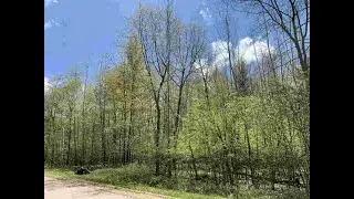 Lot 38 Lime Ridge Rd Shawano, WI 54166 - Vacant land for sale