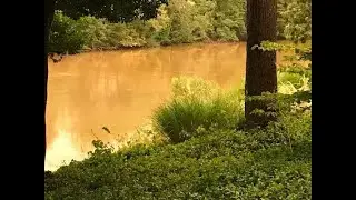 Mud Floods In Annapolis Neck