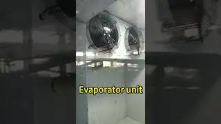 Mini cold room  #coldstorage #freezers