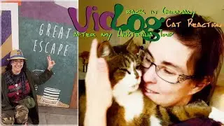 VioLog | KATER sieht mich NACH 2 MONATEN wieder | Back home CAT REACTION