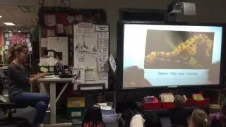 Ocean Animals Lesson