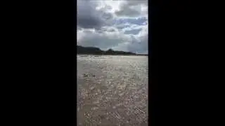 Metal detecting on the Solway Coast