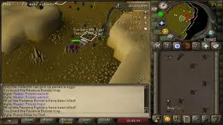 Barbarian Assault - Defender Guide 2 Minutes