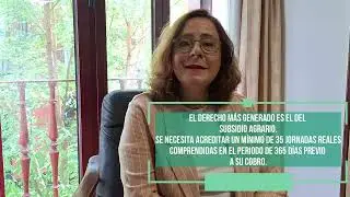 20 SISTEMA ESPECIAL AGRARIO. MARGARITA GUERRERO.