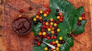 Homemade Sour Plum Syrup &ndash; Harvesting, Cooking & Filtering in Peaceful Village Life