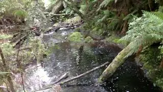 Hogarth falls