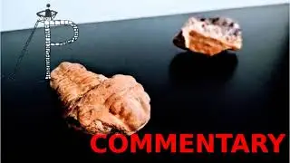 Darwinism Versus the Creation Science