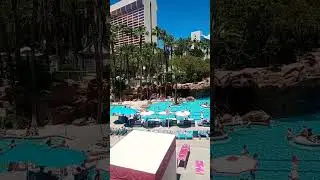 Бассейн отеля Flamingo на Лас-Вегас-Стрип. 13 мая 2024 г. #lonewulfrick #lasvegas