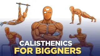Calisthenics for Beginners | Start Your Fitness Journey Today 💪