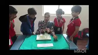Science experiment Bubble Tower #26/11/2025 by kids