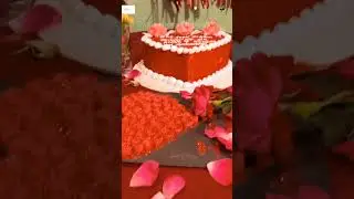 Here's to love, Happy milestone moments. First Anniversary Video - Anixz Vlogs Anisunmi💝 #wiffeyy❣️