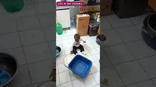 My kitchen is his favourite playing place👶👶👶||JUST IN ONE CHANNEL||