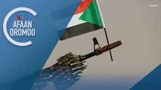 Meeshaan Waraanaa Faraansaay Akka Sudaan Seenaa Jiru Amnestii Internaashinaal Beeksise
