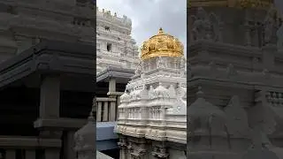 Peaceful moments🦚🕊️🙏🏻 #iskcon  #krishnatemple  #spiritualvibes  #peacefulvlog  #minivlog #shorts