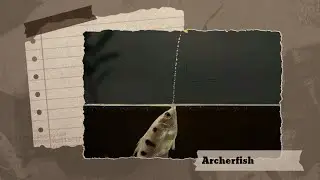 Archerfish: The Spitting Sniper of the Waterways.