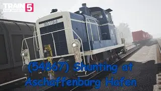 (54867) Shunting at Aschaffenburg Hafen - Maintalbahn - BR 363 - Train Sim World 5