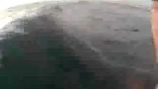 Dave Macaulay Tests Surf Helmet Cam for HGMtv