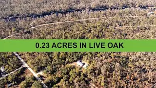 0.23 Acres Cleared Land For Sale In Live Oak FL