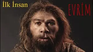 İnsan Evrimi