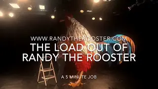 Randy the Rooster, fits in my car!