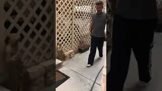Pressure washer not working