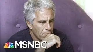 Questions Raised After Epstein Dies After Being Taken Off Suicide Watch | MSNBC