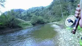 Câu fly cá suối (trailer). Fly fishing in Viet Nam