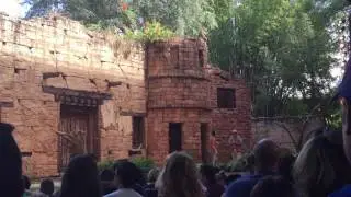 Flights of Wonder