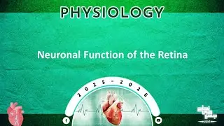 Revision of Tut 1: Neuronal function of the retina; Physiology