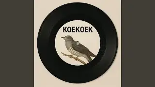 Koekoek (Vandaag Inside)
