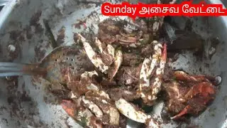 Sunday அசைவ வேட்டை நண்டு தொக்கு  மீன் குழம்பு 🔥 sunday nonveg meals