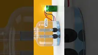 #10 класс #образование #алгебра #химия