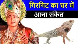 गिरगिट का घर में आना संकेत ! क्या कहते हे श्री कृष्ण ! girgit ka ghr me aana sanket !