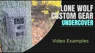 Lone Wolf Custom Gear Undercover Trail Camera Video Examples