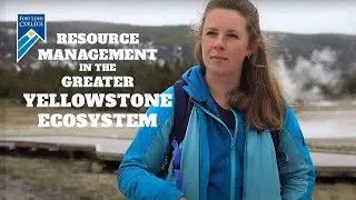 Resource Management in the Greater Yellowstone Ecosystem