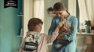 Еще больше кошек смогут найти свой дом благодаря корму PRO PLAN&reg; LiveClear&reg;!