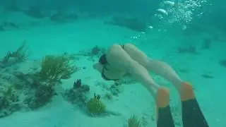 Wedding In Grand Cayman
