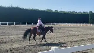 AQHA Ranch Riding Pattern 2