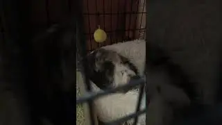 НАДЕЖДА, ВЕРА И ЛЮБОВЬ, ЭТО ОЧЕНЬ ВАЖНО🙏🏻♥