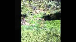 All about earth moving - land clearance specialist