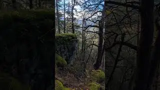Ингушетия #russia #nature #mountains #travel #vlog #adventure #shorts #top #adventure #forest