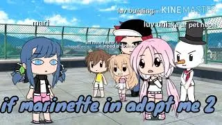 If marinette play adopt me 2 (GLMM)