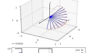 Spin Echo Magnetization Dynamics