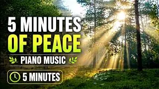 5 Minutes of Peaceful Piano Music, Relaxing Mind Clearing Music, Quick Piano Music, Relaxing Music